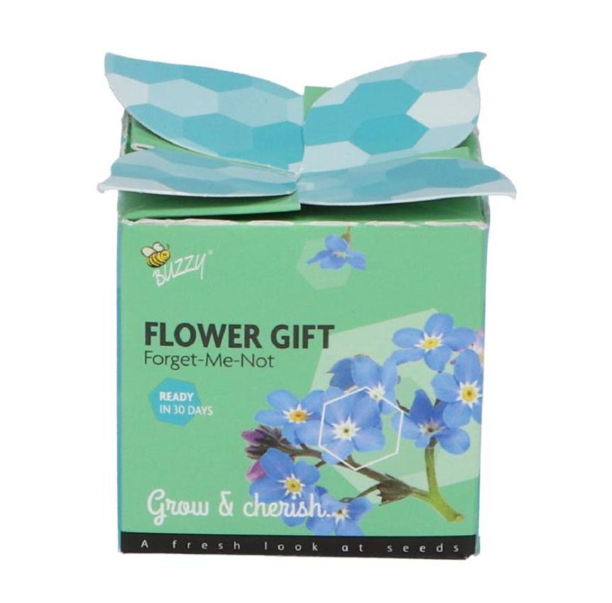 Buzzy Grow gifts kweekset flower gift vergeet-me-niet - 