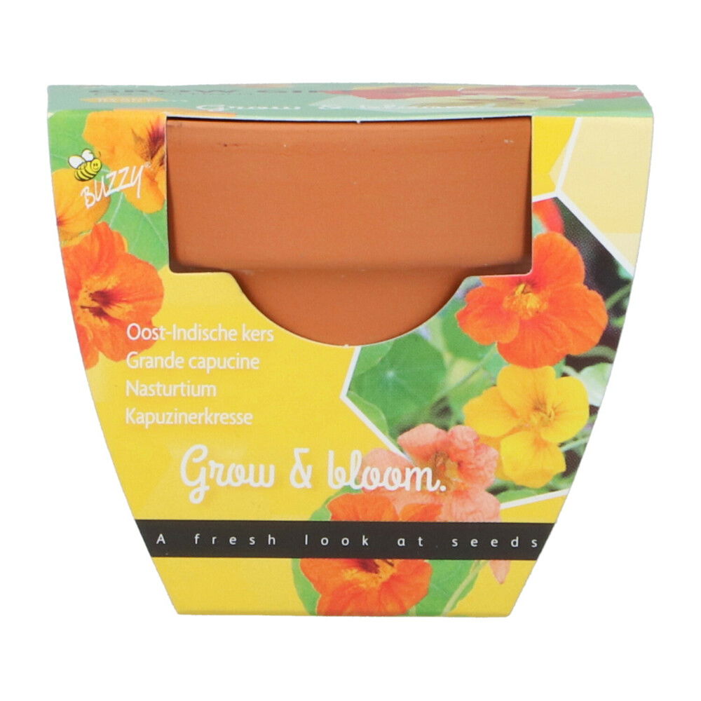 Grow gifts kweekset groeicadeautje oost indische kers Buzzy