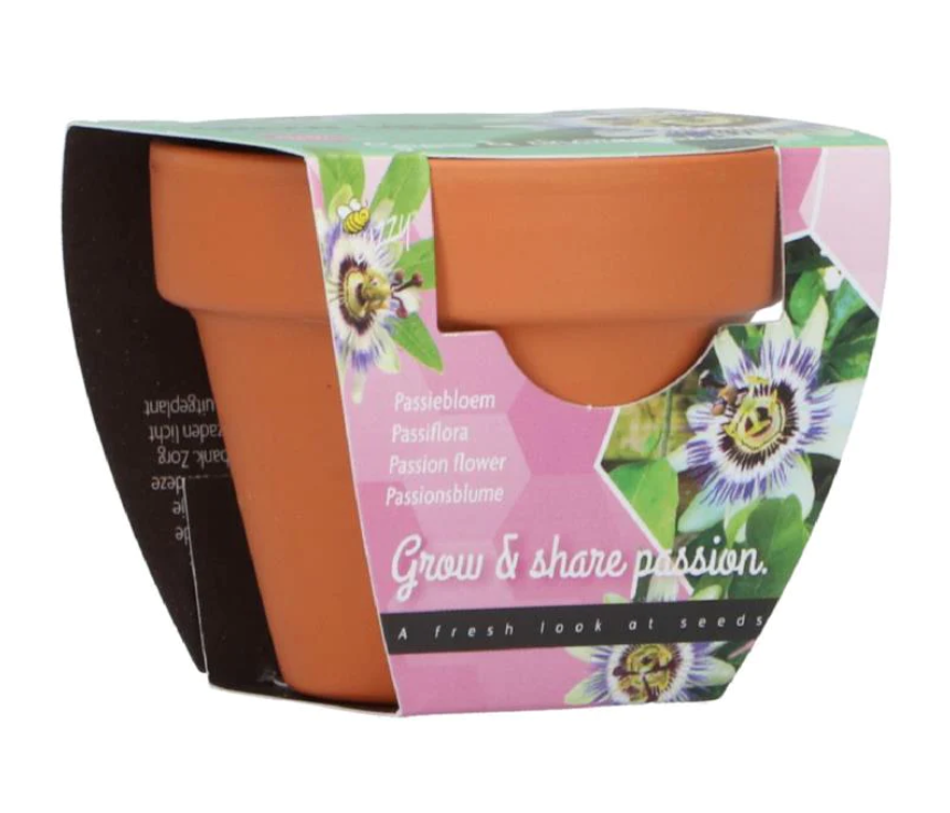 Grow gifts kweekset groeicadeautje passiflora Buzzy