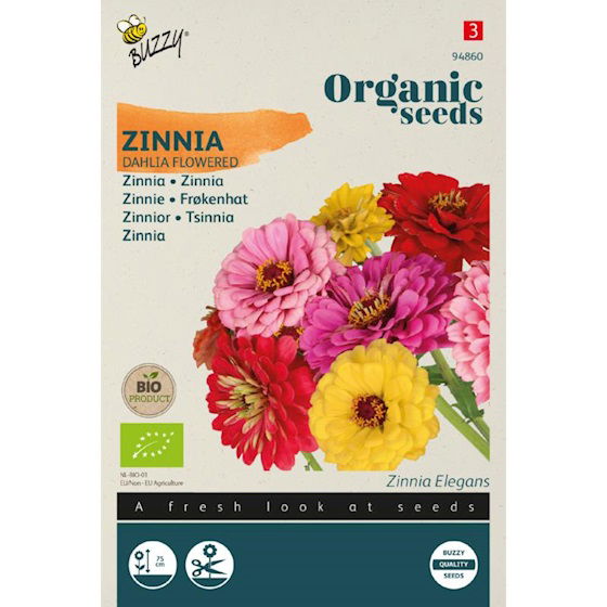 Zaden zinnia dahliabloemige 1.5 gram Tuinplus