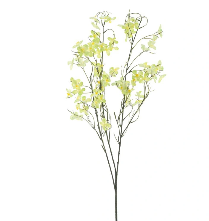 https://cdn.warentuin.nl/media/catalog/product/A/p/Apple_blossom_branche_Incheon_green_130_cm_59d9.png