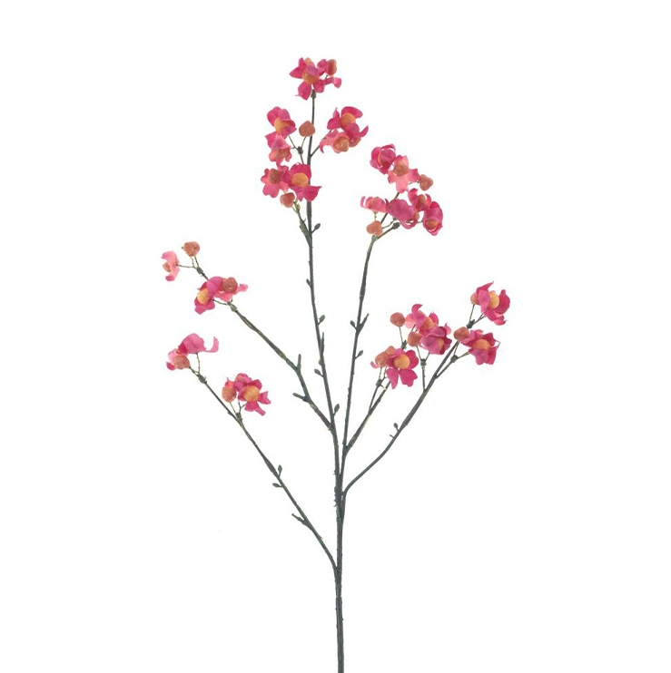 https://cdn.warentuin.nl/media/catalog/product/B/i/Bittersweet_berry_spray_pink_66_cm_9cd3.png