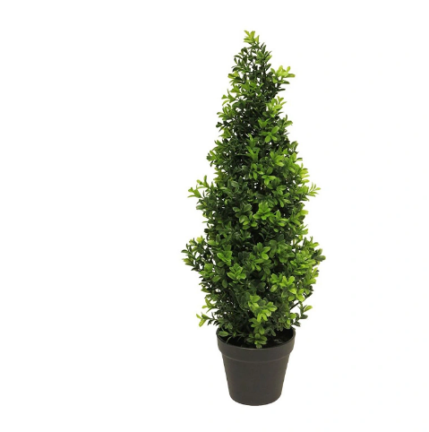 https://cdn.warentuin.nl/media/catalog/product/B/o/Boxwood_Orion_tapered_green_60_cm_e3c2.png