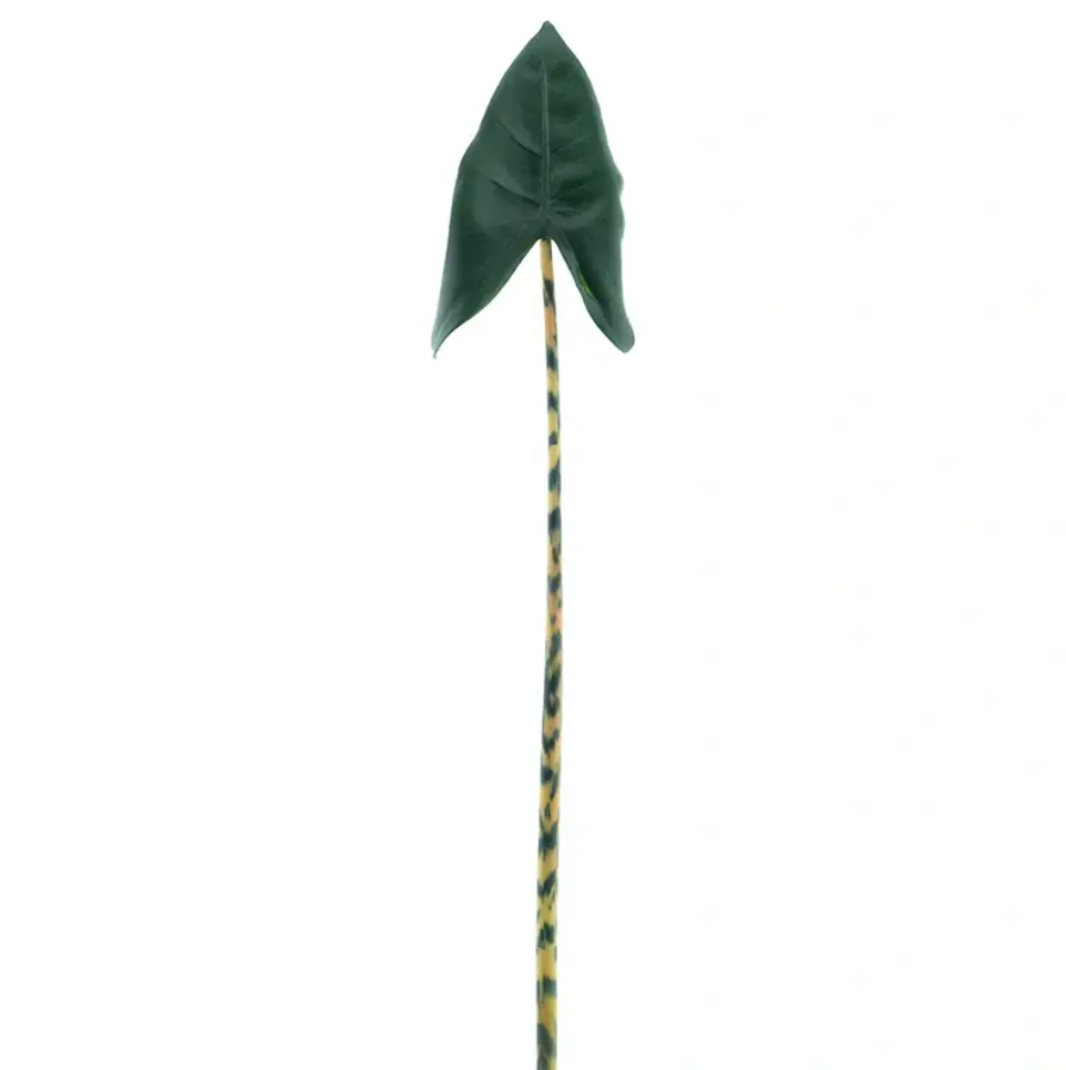 https://cdn.warentuin.nl/media/catalog/product/C/a/Calla_lily_leaf_green_79_cm_kunstbloem_Nova_Nature_80b0.png