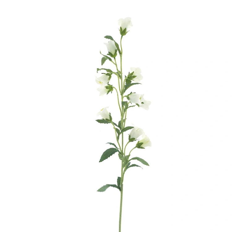 https://cdn.warentuin.nl/media/catalog/product/C/a/Campanula_spray_cream_88_cm_cd3b.png