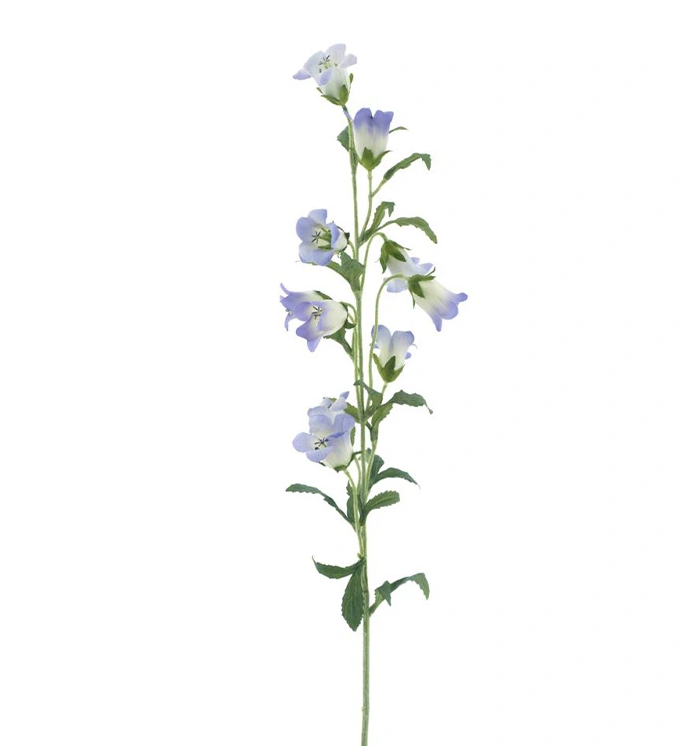 https://cdn.warentuin.nl/media/catalog/product/C/a/Campanula_spray_lavender_88_cm_0d64.png