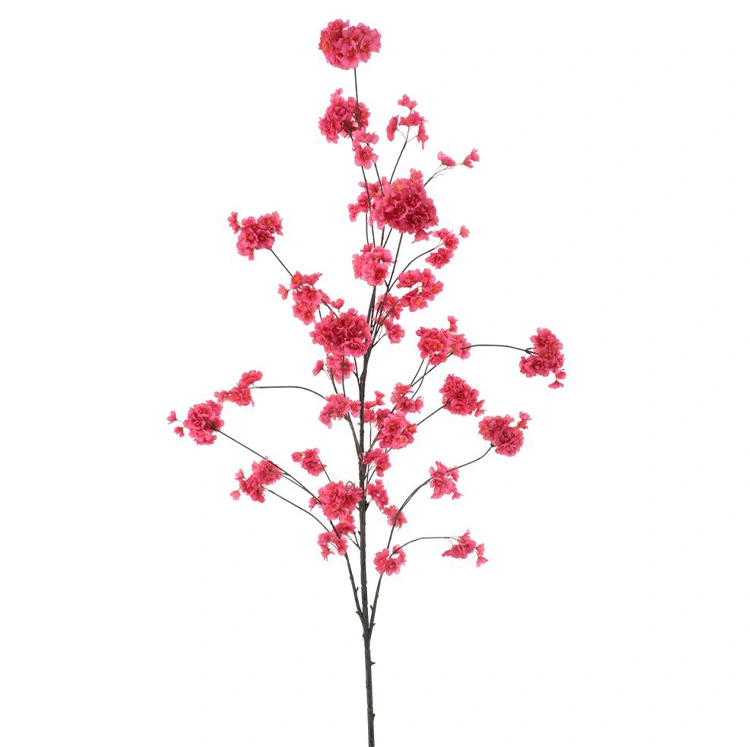https://cdn.warentuin.nl/media/catalog/product/C/h/Cherry_blossom_spray_Kansai_cerise_195_cm_ad86.png