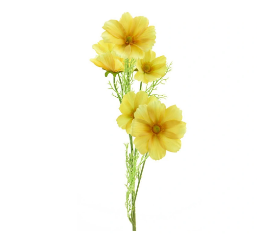 https://cdn.warentuin.nl/media/catalog/product/C/o/Cosmos_Bibi_yellow_77_cm_1822.png