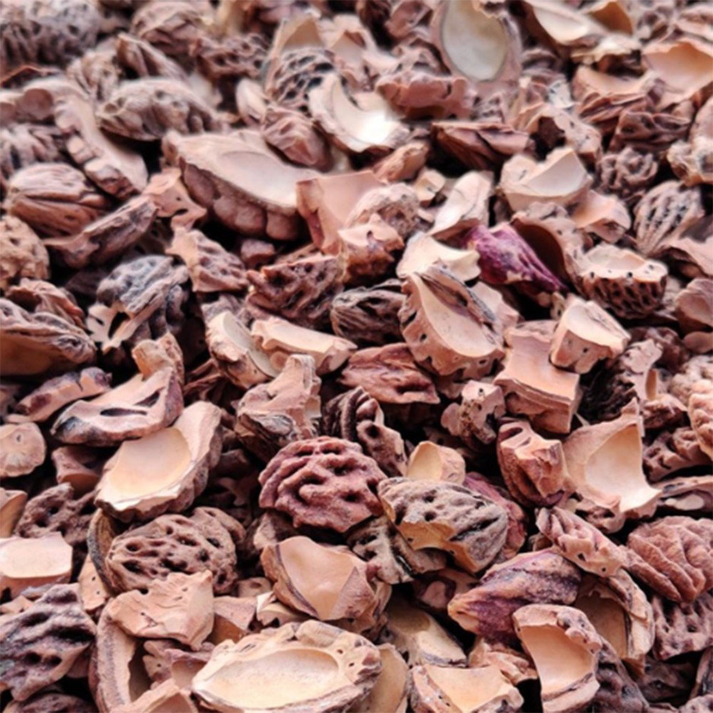 https://cdn.warentuin.nl/media/catalog/product/D/R/DROP1128080007890_gardenlux_tuintegels_halve_perzikstenen_8_16_mm_cm_gardenlux_066d.jpg