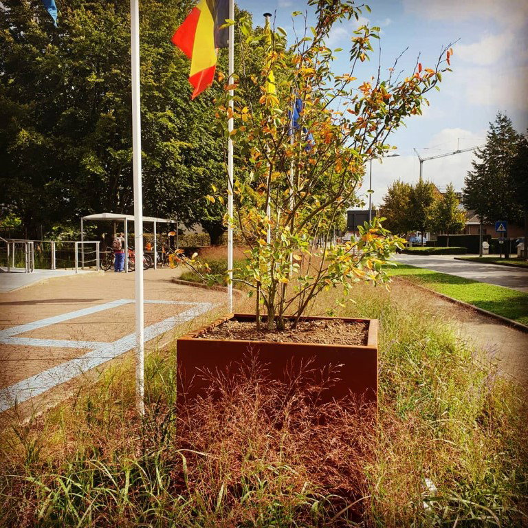 https://cdn.warentuin.nl/media/catalog/product/D/R/DROP5404033105742_01_geroba_plantenbakken_cortenstaal_artesa_rechthoekige_plant_1e2a.jpg