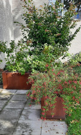 https://cdn.warentuin.nl/media/catalog/product/D/R/DROP5404033112153_01_geroba_plantenbakken_cortenstaal_artesa_rechtho_0f61.jpg