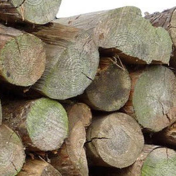 https://cdn.warentuin.nl/media/catalog/product/D/R/DROP5411244991132_01_houtbeugel_toolland_6691.jpg