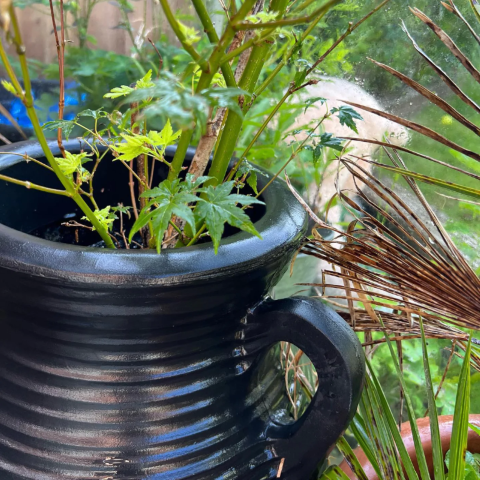 https://cdn.warentuin.nl/media/catalog/product/D/R/DROP6095651436418_01_prestige_plantenbak_atheens_zwarte_35l_plantenb_3113.png