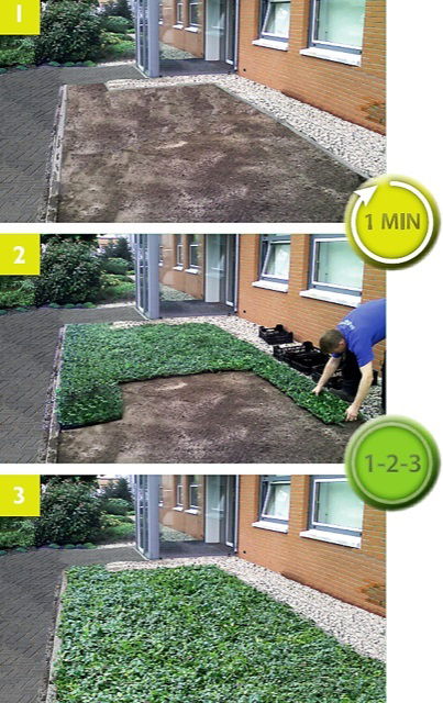 https://cdn.warentuin.nl/media/catalog/product/D/R/DROP6144561336196_4_covergreen_plantenmat_plantenmat_vinca_minor_atropurpurea_5_b0a6.jpg