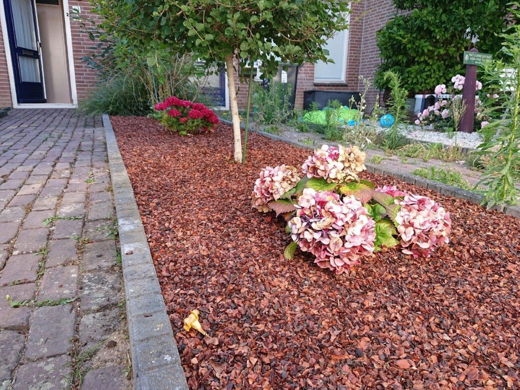 https://cdn.warentuin.nl/media/catalog/product/D/R/DROP6144561336246_3_warentuin_collection_cacaodoppen_cacaodoppen_zakgoed_280_li_8adc.jpeg