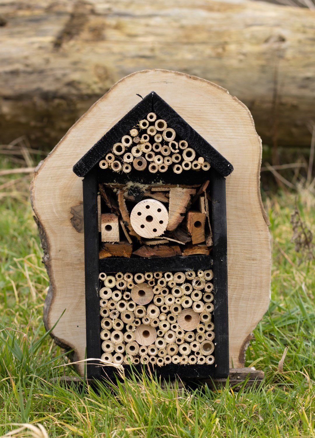 https://cdn.warentuin.nl/media/catalog/product/D/R/DROP6144561336261_boomstijl_insectenhotel_insectenhotel_de_krekel_20x20x45_cm_b_d1fd.jpg
