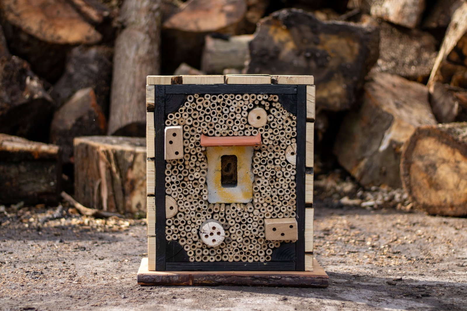 https://cdn.warentuin.nl/media/catalog/product/D/R/DROP6144561336265_boomstijl_insectenhotel_insectenhotel_de_nachtvlieg_20x40x50__48d4.jpg