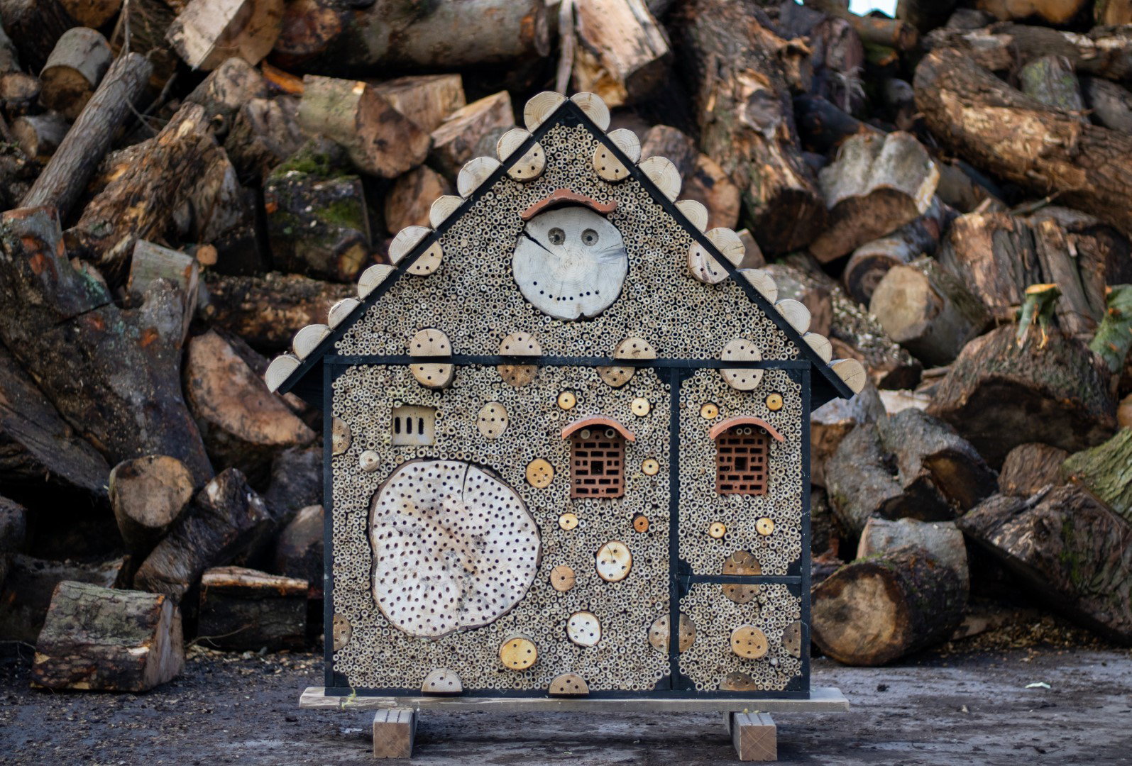 https://cdn.warentuin.nl/media/catalog/product/D/R/DROP6144561336269_boomstijl_insectenhotel_insectenhotel_de_honingbij_20x120x150_517f.jpg