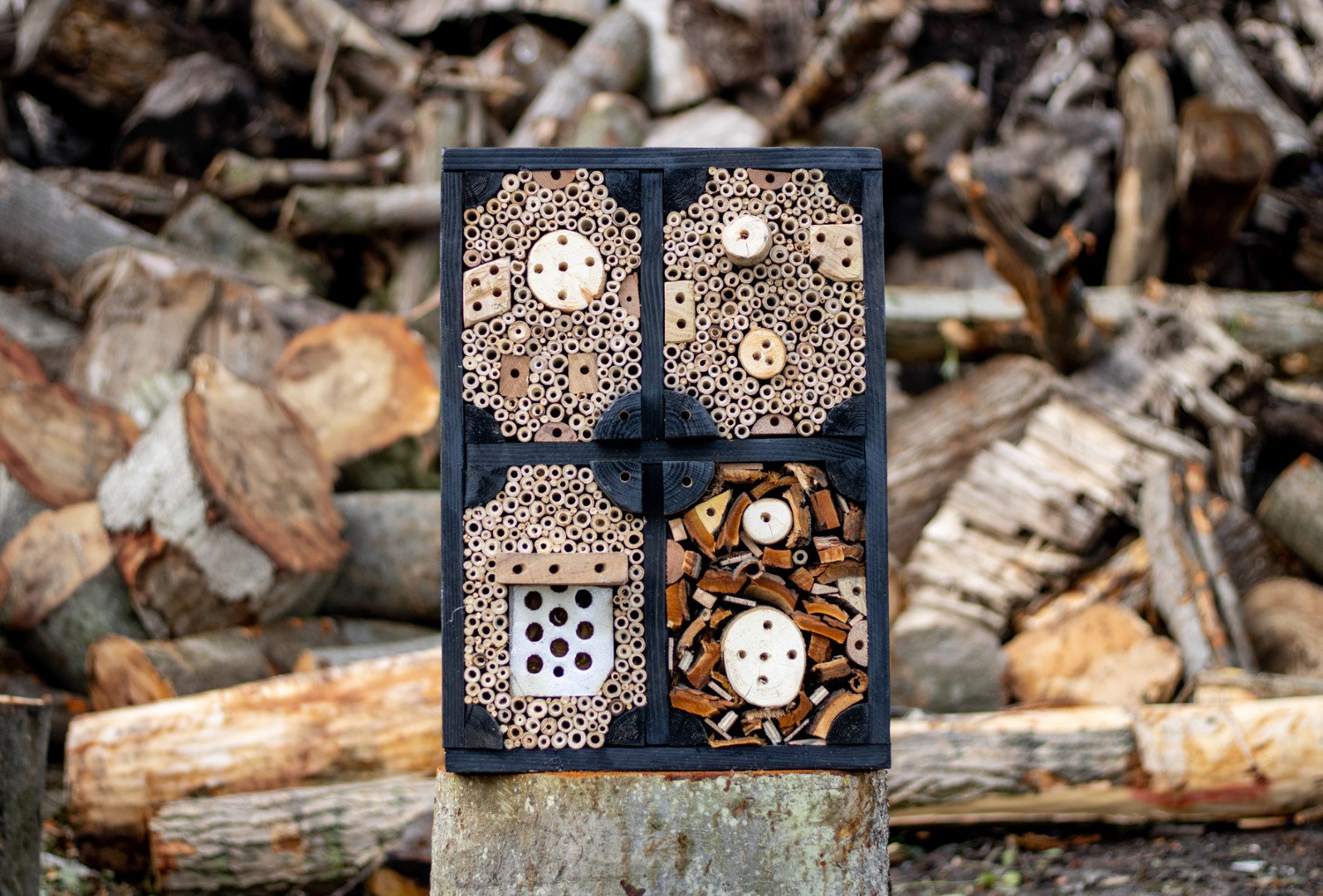 https://cdn.warentuin.nl/media/catalog/product/D/R/DROP6144561336271_boomstijl_insectenhotel_insectenhotel_de_maskerbij_20x45x50_c_c0a1.jpg