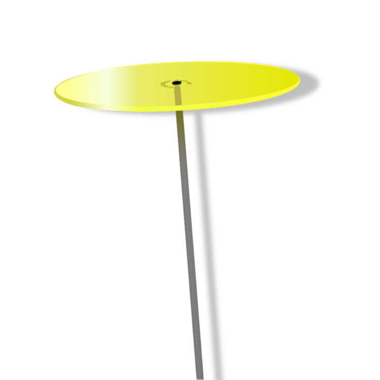 https://cdn.warentuin.nl/media/catalog/product/D/R/DROP6144561336284_01_cazador_del_sol_zonnevanger_1_stuk_citroen_geel_medium_120_c5c6.jpg