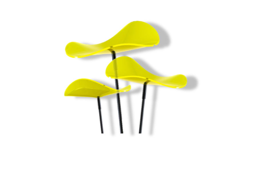 https://cdn.warentuin.nl/media/catalog/product/D/R/DROP6144561336339_01_cazador_del_sol_3_stuks_zonnevangers_lucy_citroen_geel_gro_03ba.jpg