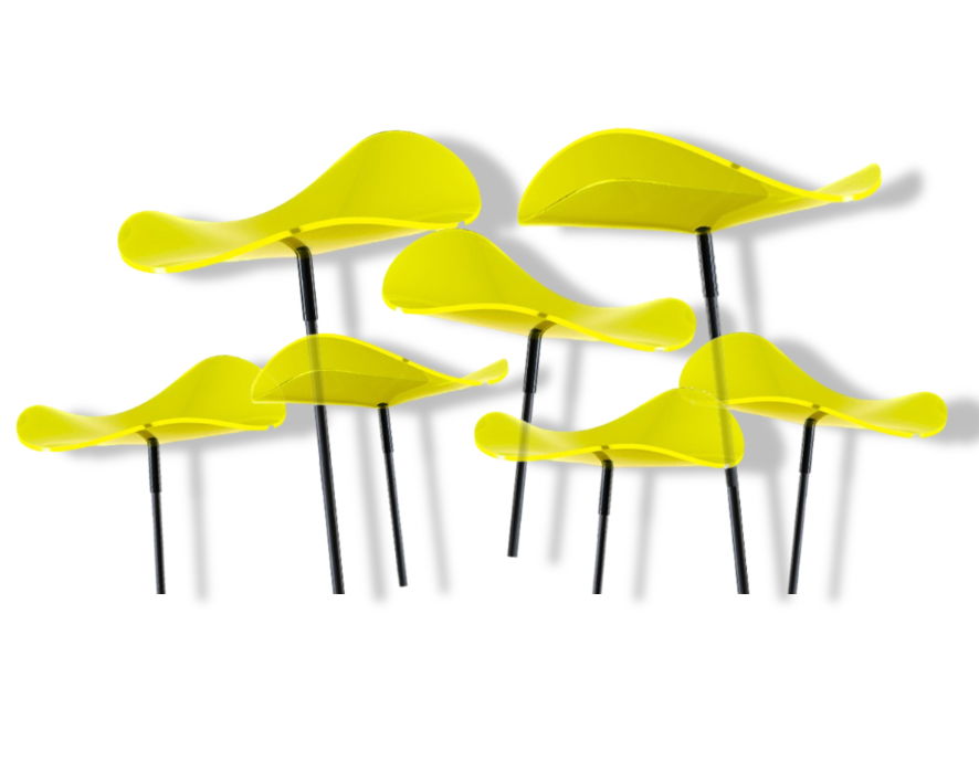 https://cdn.warentuin.nl/media/catalog/product/D/R/DROP6144561336358_01_cazador_del_sol_7_stuks_zonnevangers_lucy_citroen_geel_med_af35.jpg