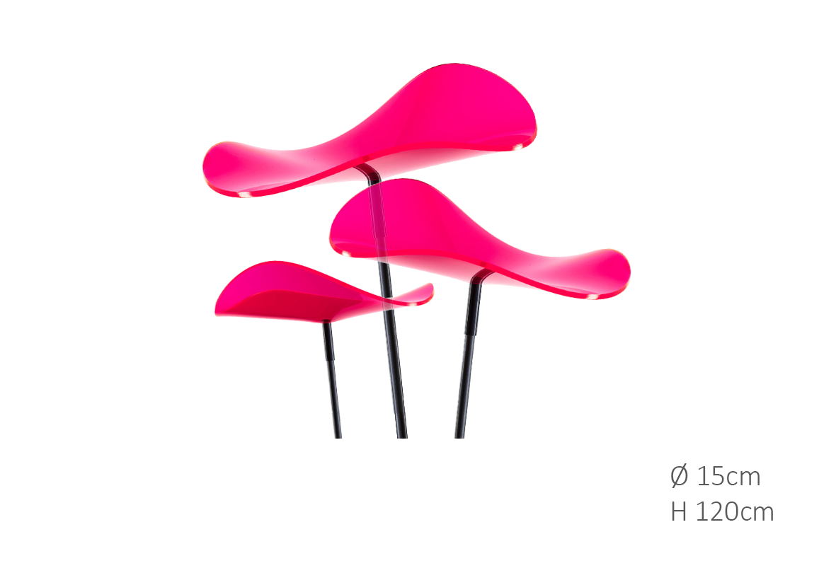 https://cdn.warentuin.nl/media/catalog/product/D/R/DROP6144561336366_cazador_del_sol_zonnevanger_zonnevanger_lucy_rood_roze_medium_1651.png