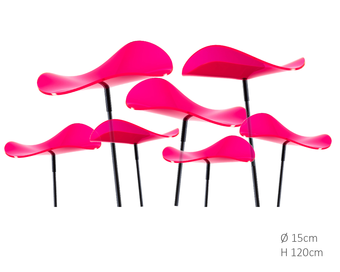 https://cdn.warentuin.nl/media/catalog/product/D/R/DROP6144561336367_cazador_del_sol_zonnevanger_zonnevanger_lucy_rood_roze_medium_6c6b.png
