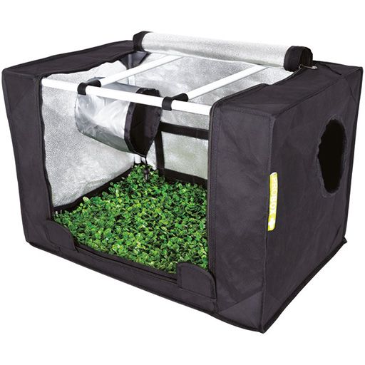 Probox Propagator Klein incl. LED verliching (60x40x40 cm) BTT