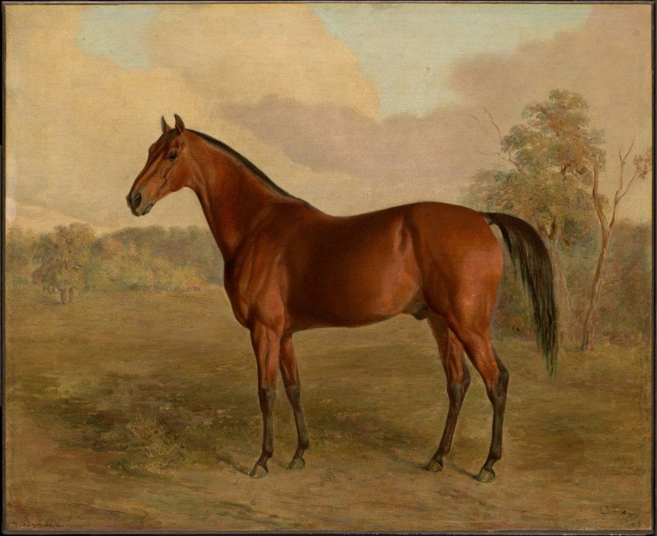 Klassiek paardenportret 70x50 tuinposter banner VGDesign - Vgdesign