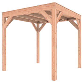 Outdoor life Douglas Overkapping 250x250 - 