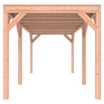 Outdoor life Douglas Overkapping 550x250 A-Sym/1 - 