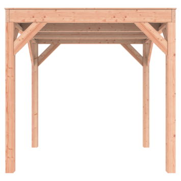 Outdoor life Douglas Overkapping 200x250 - 