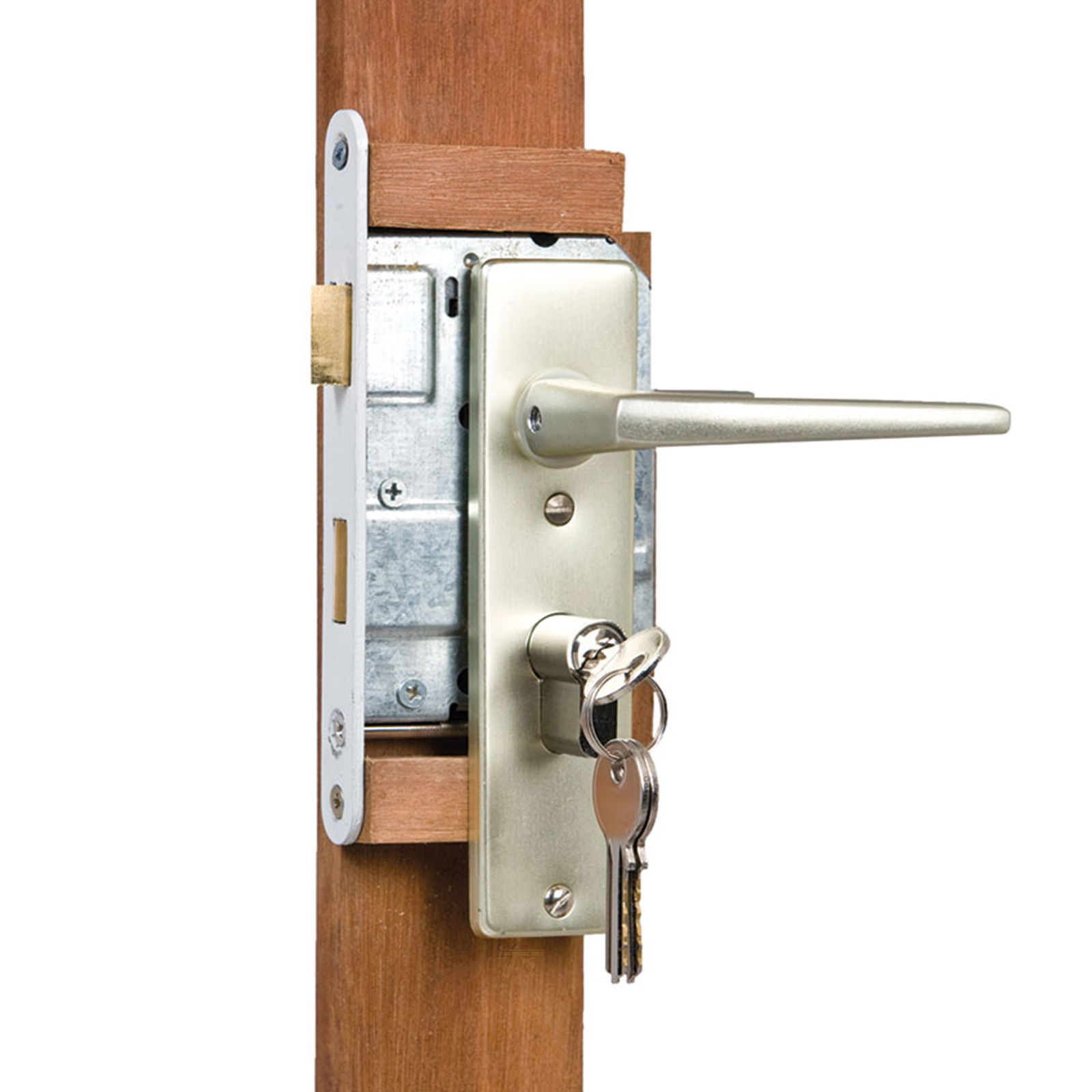 https://cdn.warentuin.nl/media/catalog/product/D/R/DROP8715815000726_eindplank_hardhout_tbv_solide_deur_tuindeco_530e.jpg