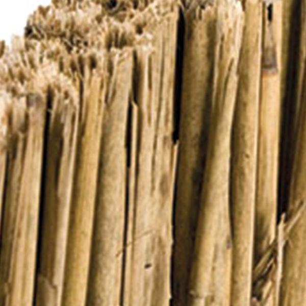 https://cdn.warentuin.nl/media/catalog/product/D/R/DROP8715815001013_01_rietplaat_125_cm_tuindeco_195d.jpg