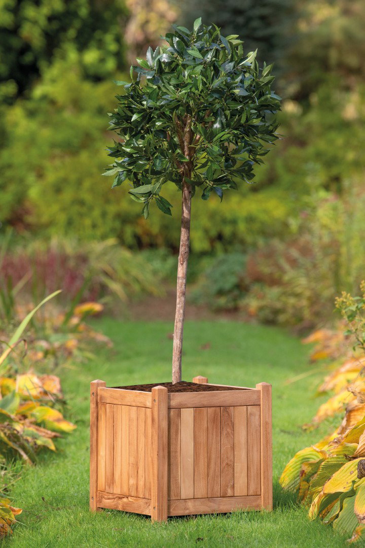 https://cdn.warentuin.nl/media/catalog/product/D/R/DROP8715815004403_01_bloembak_kalimantan_groot_tuindeco_0fa5.jpg
