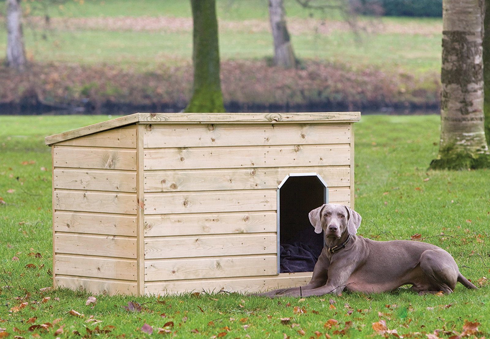 https://cdn.warentuin.nl/media/catalog/product/D/R/DROP8715815022674_01_hondenverblijf_teckel_tuindeco_67ea.jpg