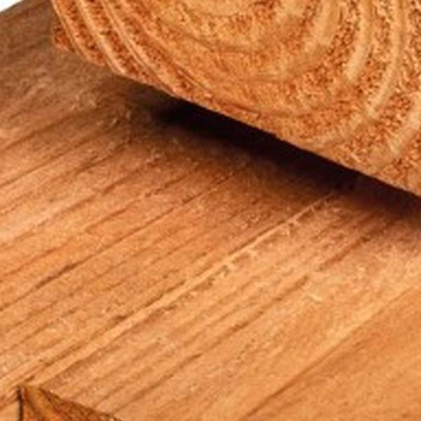 https://cdn.warentuin.nl/media/catalog/product/D/R/DROP8715815029826_01_ligger_douglas_5_0x10_0x500_cm_tuindeco_f05f.jpg