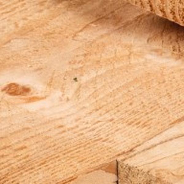 https://cdn.warentuin.nl/media/catalog/product/D/R/DROP8715815035070_01_plank_douglas_2_5x25_0x400_cm_tuindeco_859c.jpg