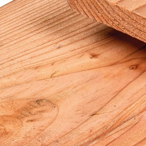 https://cdn.warentuin.nl/media/catalog/product/D/R/DROP8715815035315_01_plank_douglas_1_6x14_0x180_cm_i_tuindeco_8a5e.jpg