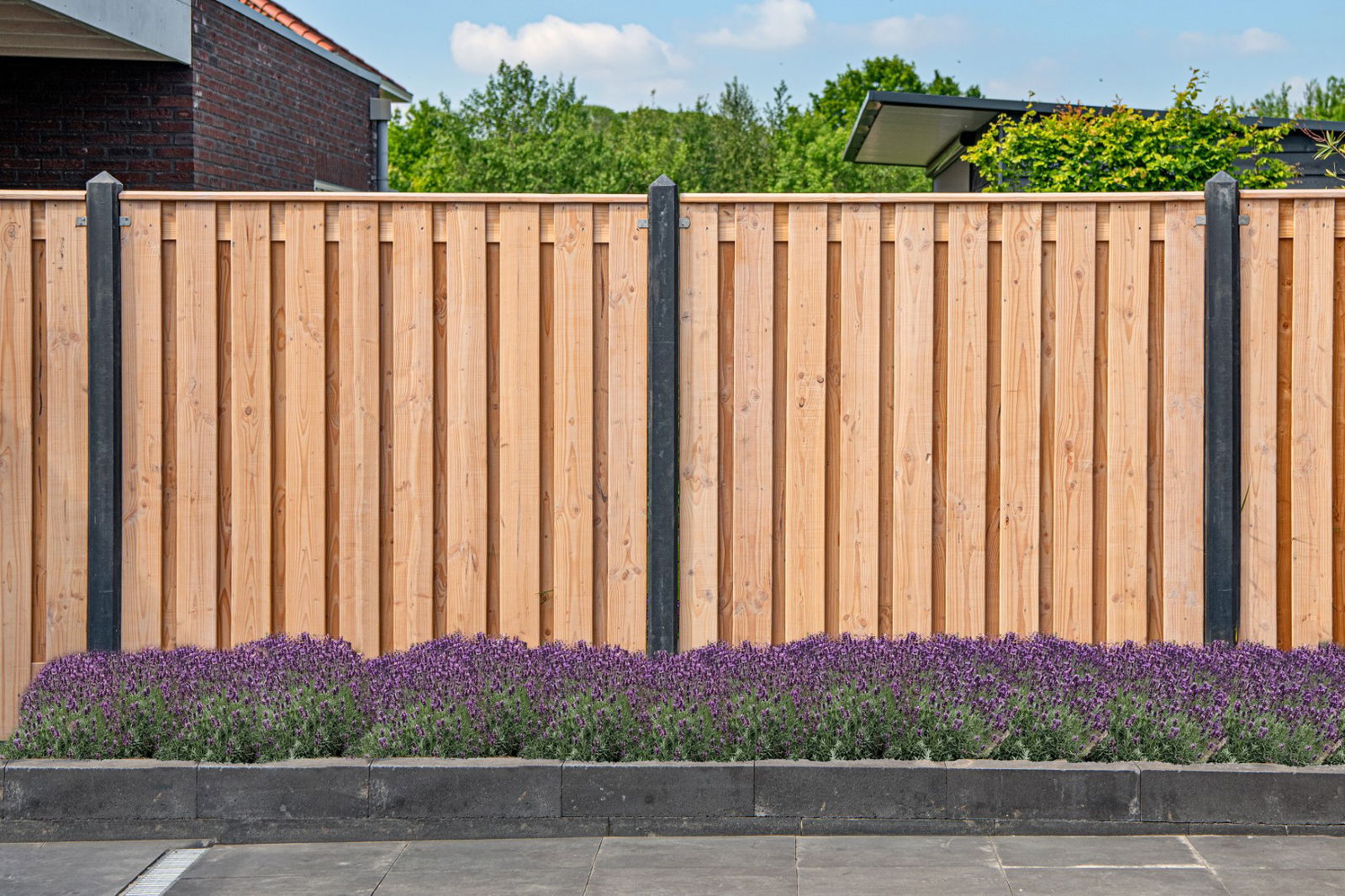 https://cdn.warentuin.nl/media/catalog/product/D/R/DROP8715815036978_tuinscherm_zwarte_woud_180_tuindeco_0ec2.jpg