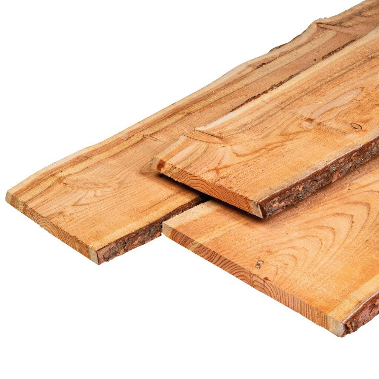 https://cdn.warentuin.nl/media/catalog/product/D/R/DROP8715815037876_01_schaaldeel_douglas_2_5x25_30x400_cm_tuindeco_3638.jpg