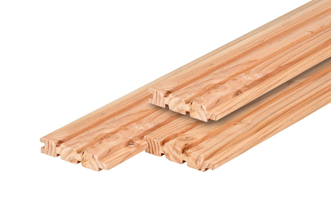 https://cdn.warentuin.nl/media/catalog/product/D/R/DROP8715815108309_douglas_dubbelzijdig_triple_profiel_2_8x14_5x224_cm_tuindeco_1014.jpg