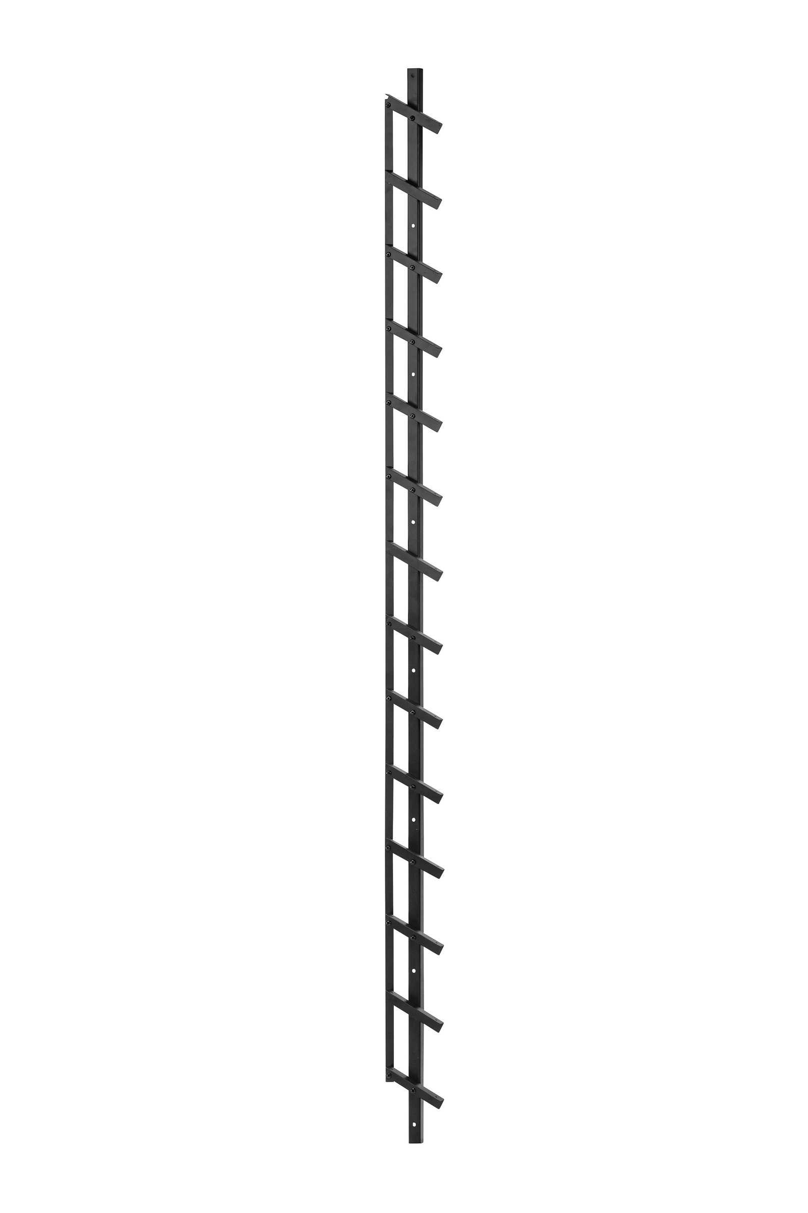 https://cdn.warentuin.nl/media/catalog/product/D/R/DROP8715815110470_flex_fence_zwart_gecoat_rvs_zelfbouwpakket_lengte_96_cm_tuind_fd50.jpg