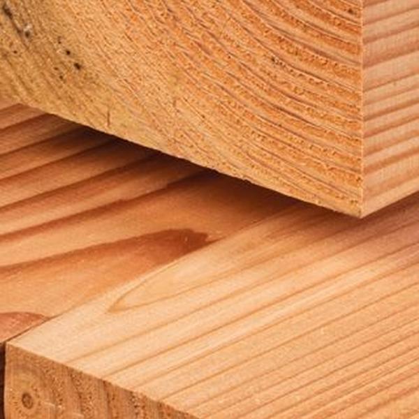 https://cdn.warentuin.nl/media/catalog/product/D/R/DROP8715815114126_01_douglas_paal_blank_19_0x19_0x500_geschaafd_4rh_tuindeco_8646.jpg