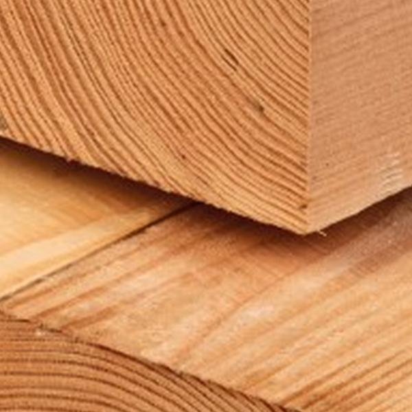 https://cdn.warentuin.nl/media/catalog/product/D/R/DROP8715815114331_01_paal_premium_douglas_19_0x19_0x600_cm_tuindeco_4015.jpg