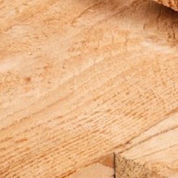 https://cdn.warentuin.nl/media/catalog/product/D/R/DROP8715815402049_01_plank_douglas_3_2x20_0x400_cm_tuindeco_6e21.jpg