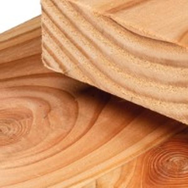 https://cdn.warentuin.nl/media/catalog/product/D/R/DROP8715815402438_01_ligger_douglas_4_5x14_5x500_cm_tuindeco_2e7a.jpg
