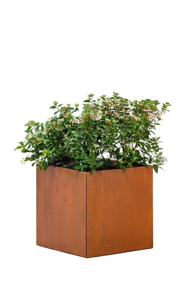 https://cdn.warentuin.nl/media/catalog/product/D/R/DROP8715815412918_bloembak_hudson_klein_50x50x50_cm_tuindeco_f94e.jpg
