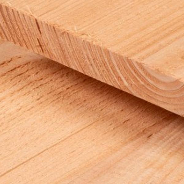 https://cdn.warentuin.nl/media/catalog/product/D/R/DROP8715815413168_01_plank_douglas_2_8x24_5x400_cm_tuindeco_749e.jpg